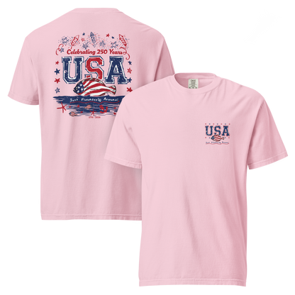 JFA USA 250 YEARS - garment-dyed heavyweight t-shirt