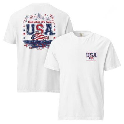 JFA USA 250 YEARS - garment-dyed heavyweight t-shirt